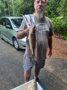 walleye-greers-ferry-lake