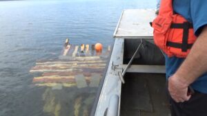 sinking-skidoo crates-fish-structures-greers-ferry-lake-walleye-club