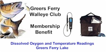 Dissolved Oxygen/Temp 7-18-2024